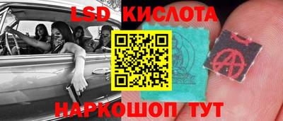 гашик Новокубанск