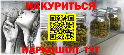 гашик Новокубанск