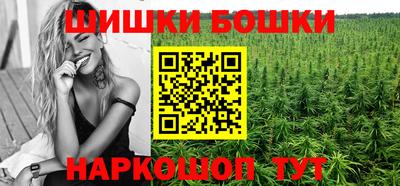 гашик Новокубанск