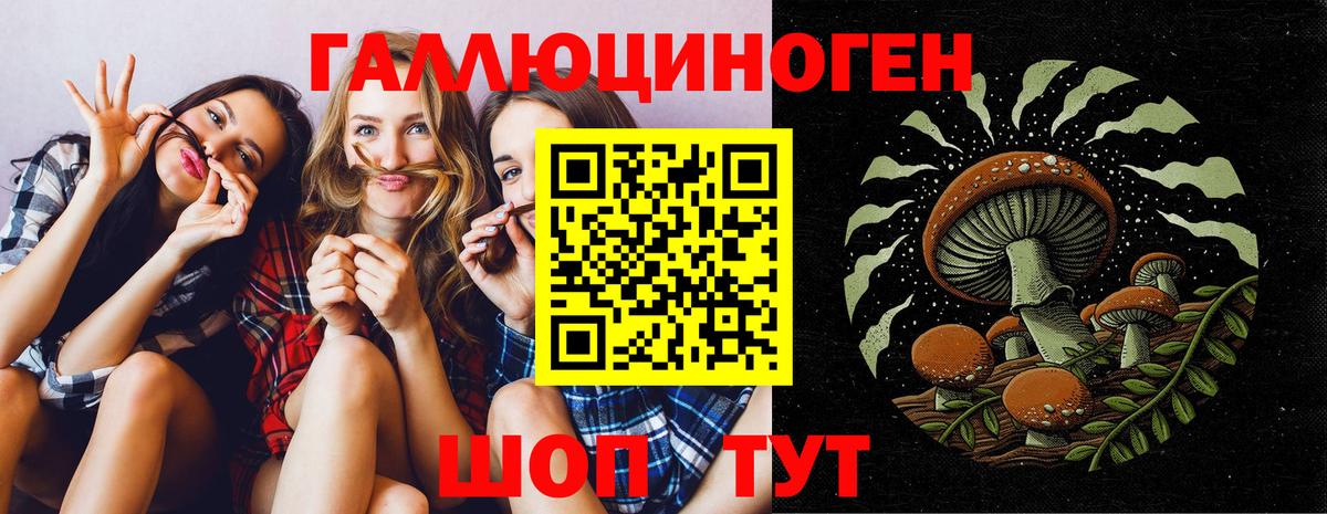 Галлюциногенные грибы Psilocybine cubensis  Вход с VPN  Псилоцибиновые грибы GOLDEN TEACHER  Советская Гавань 